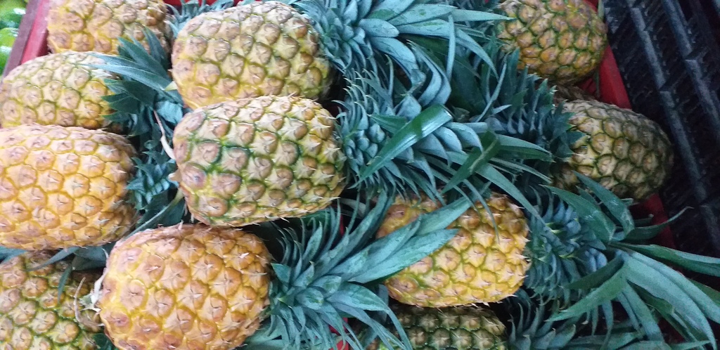 Piña oromiel