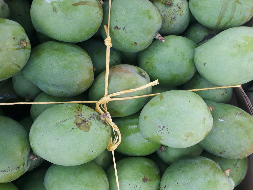 Mango la reina