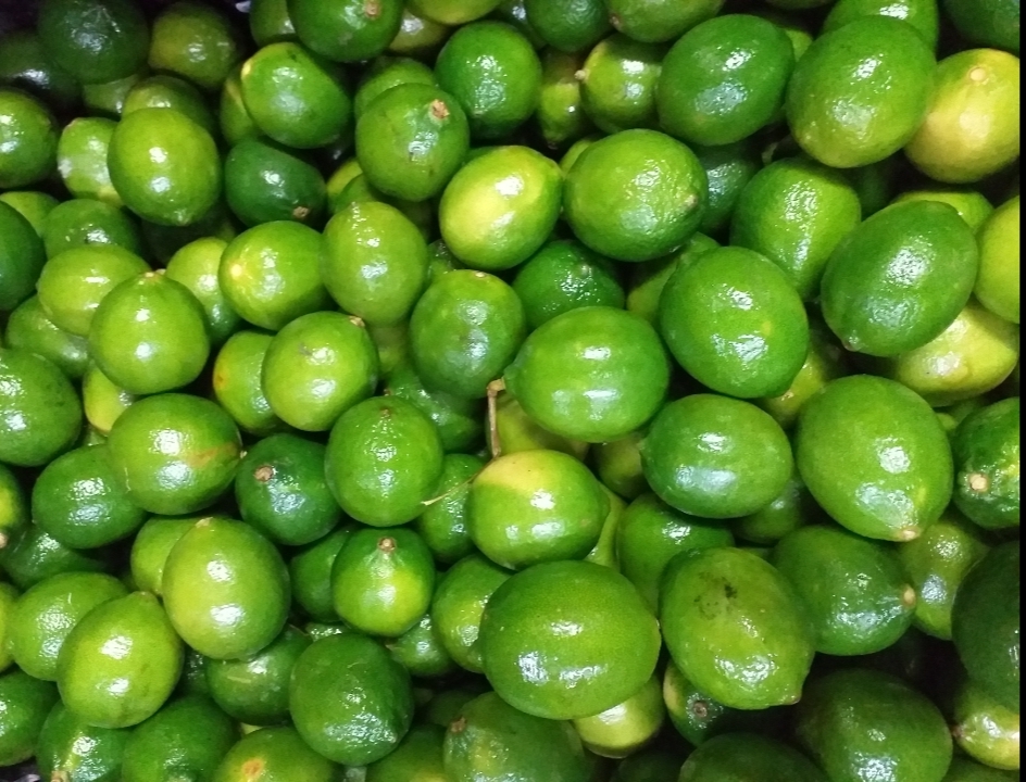 Limon tahiti