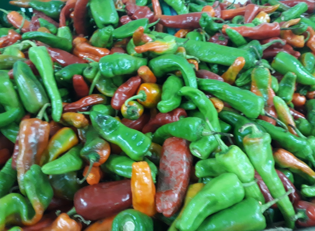 Aji