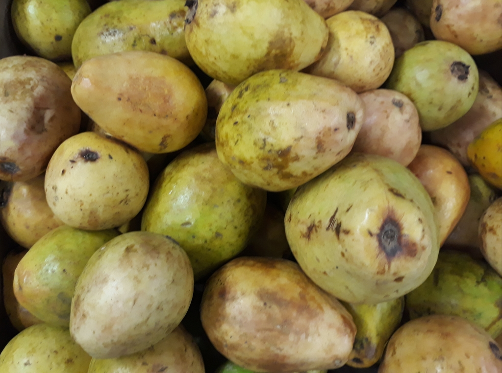 Guayaba dulce