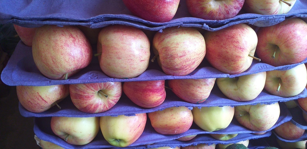 Manzana gala