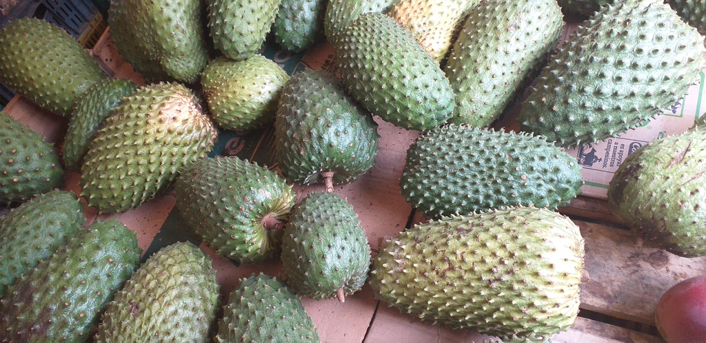 Guanabana