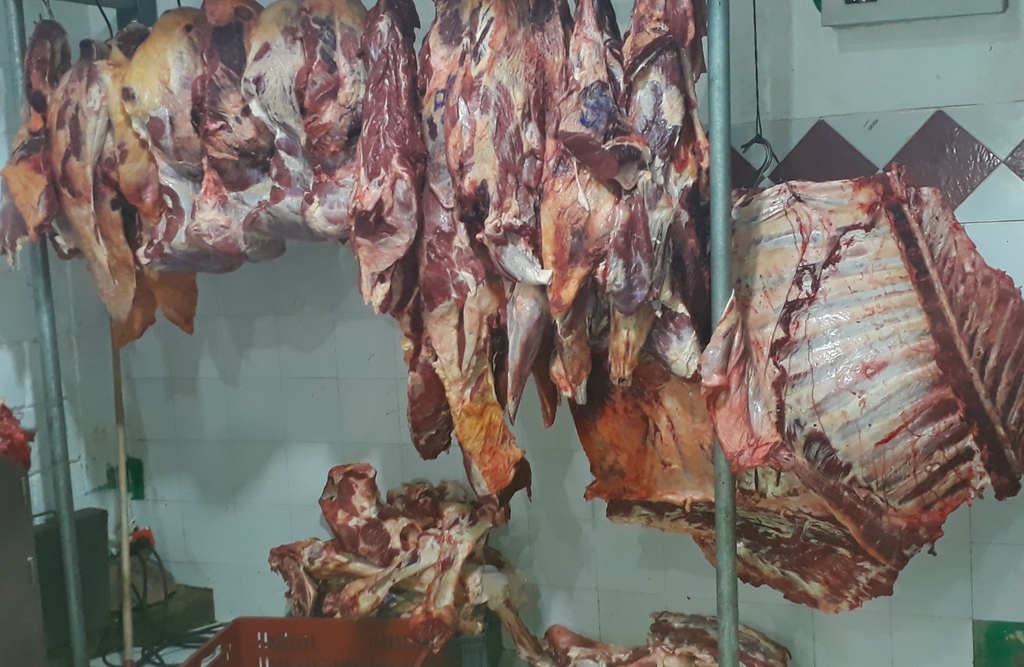 Carne de 1ra de res