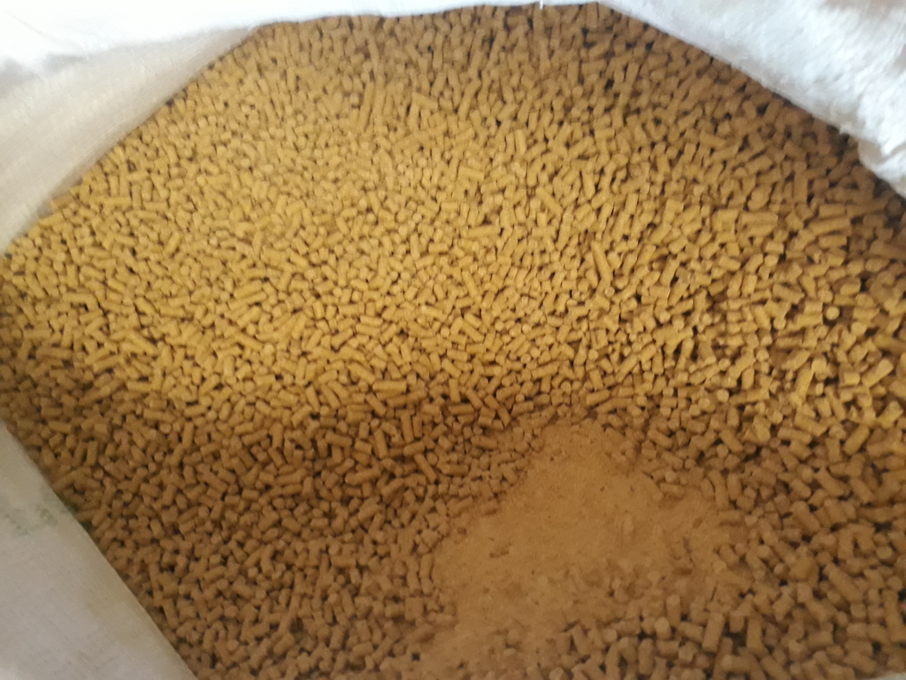 Purina de engorde