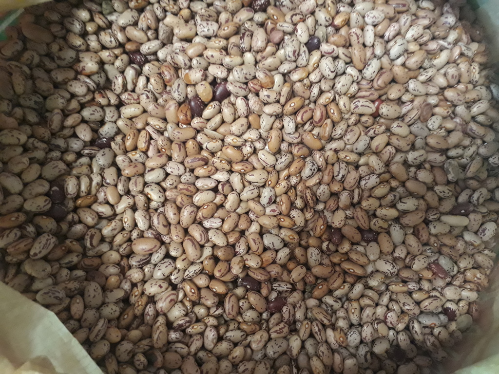 Frijol bogotano