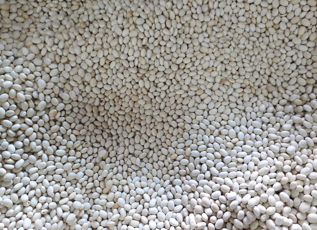 Pimienta de olor