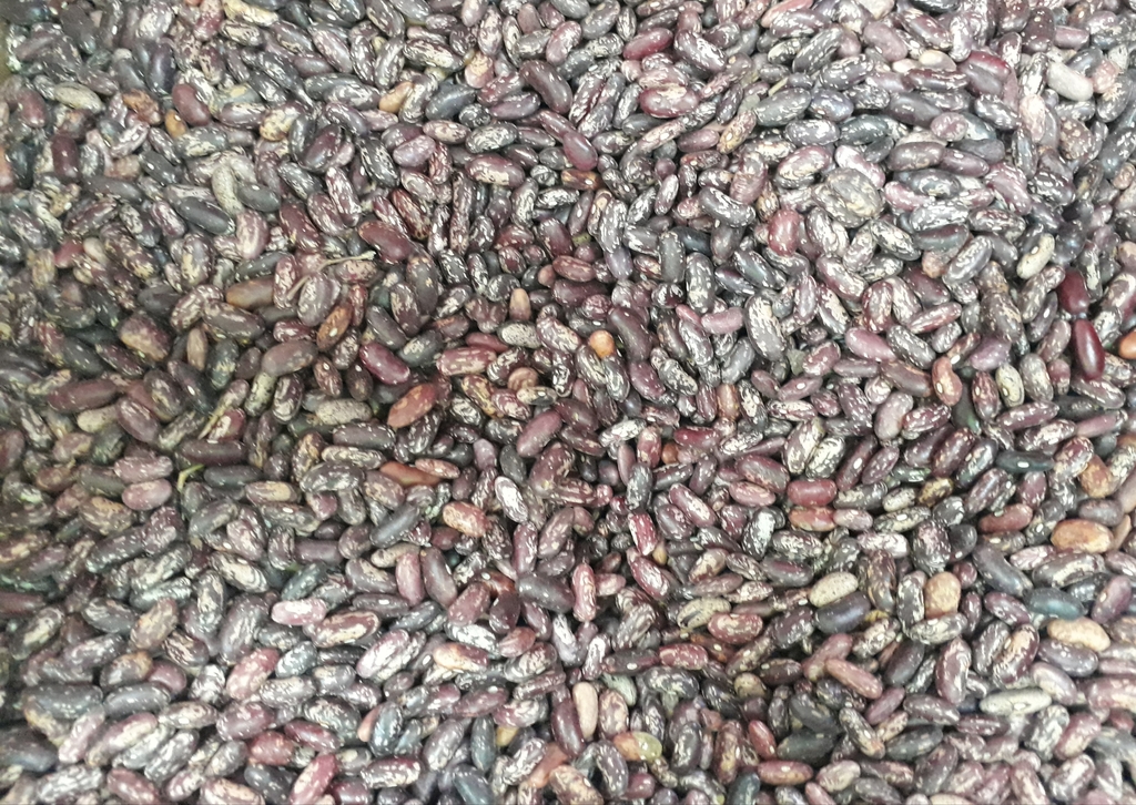 Pimienta de olor