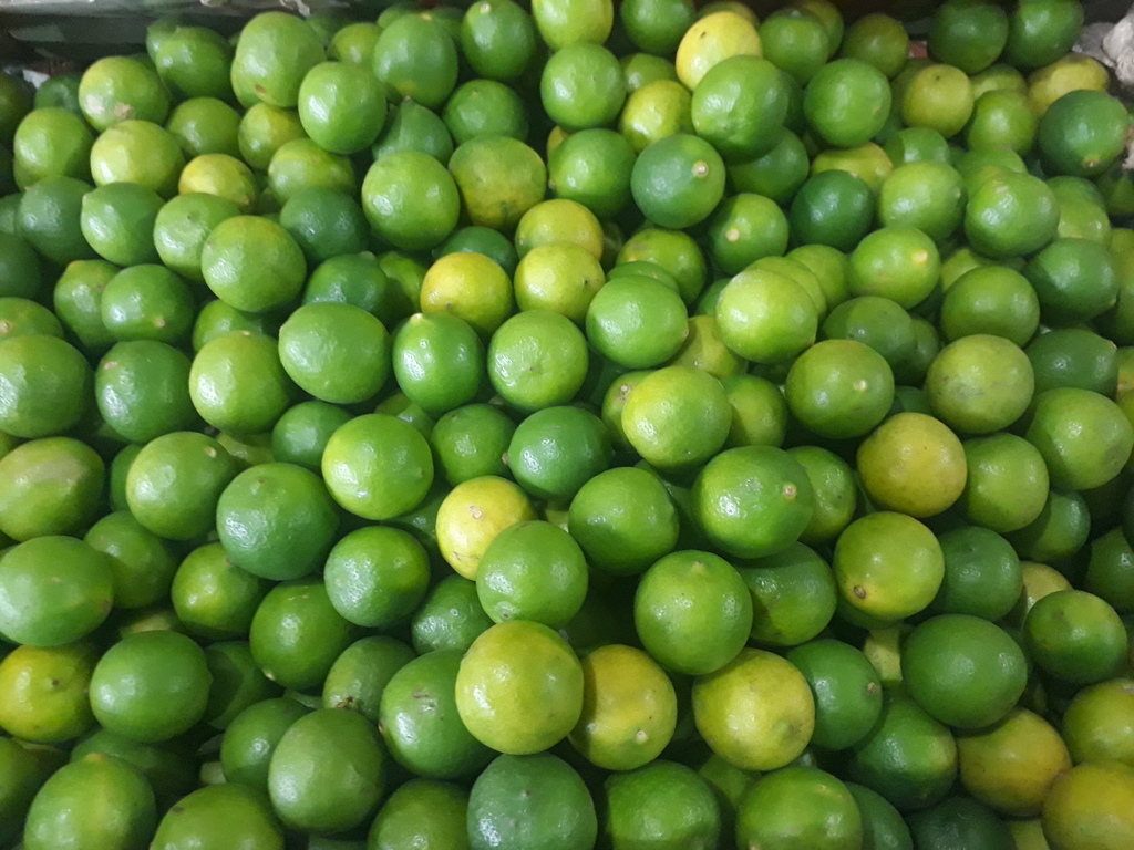 Limón