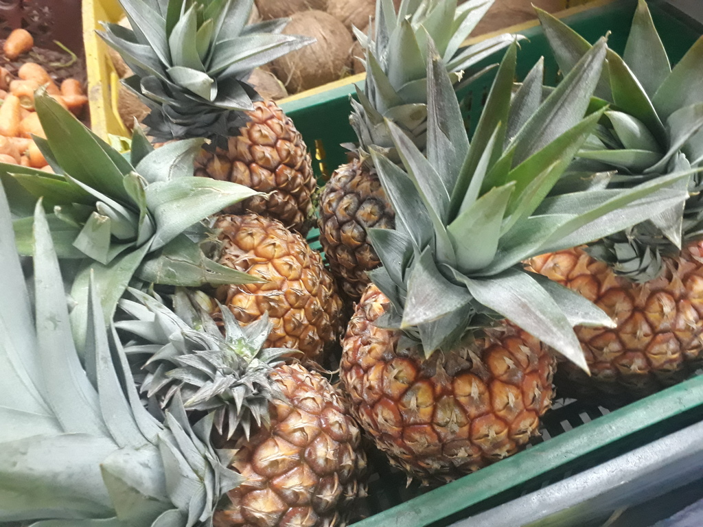 Piña oro miel