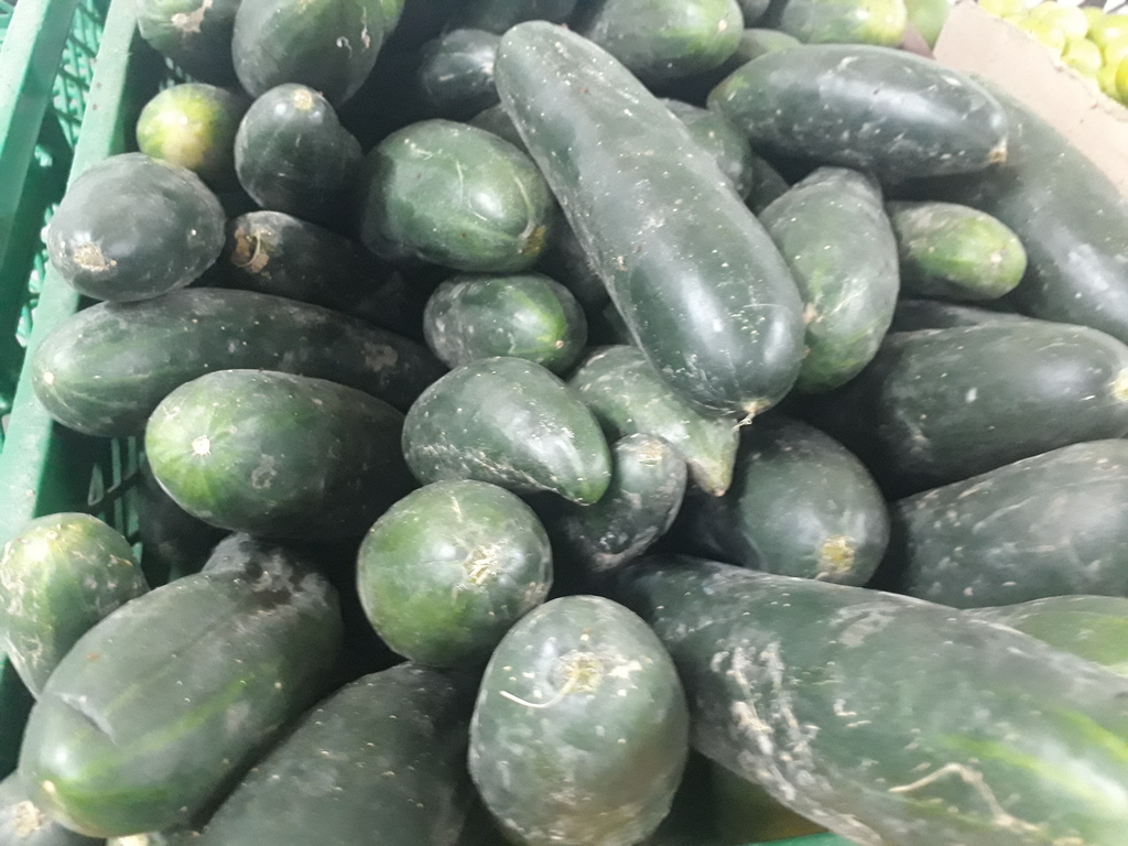 Pepino