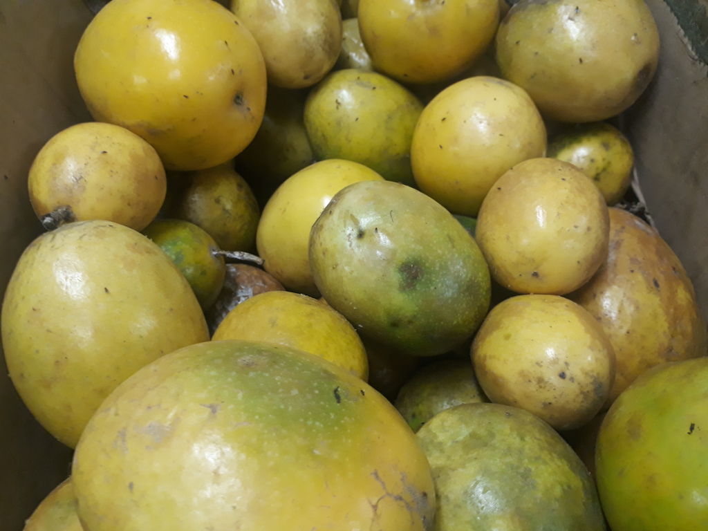 Maracuyá