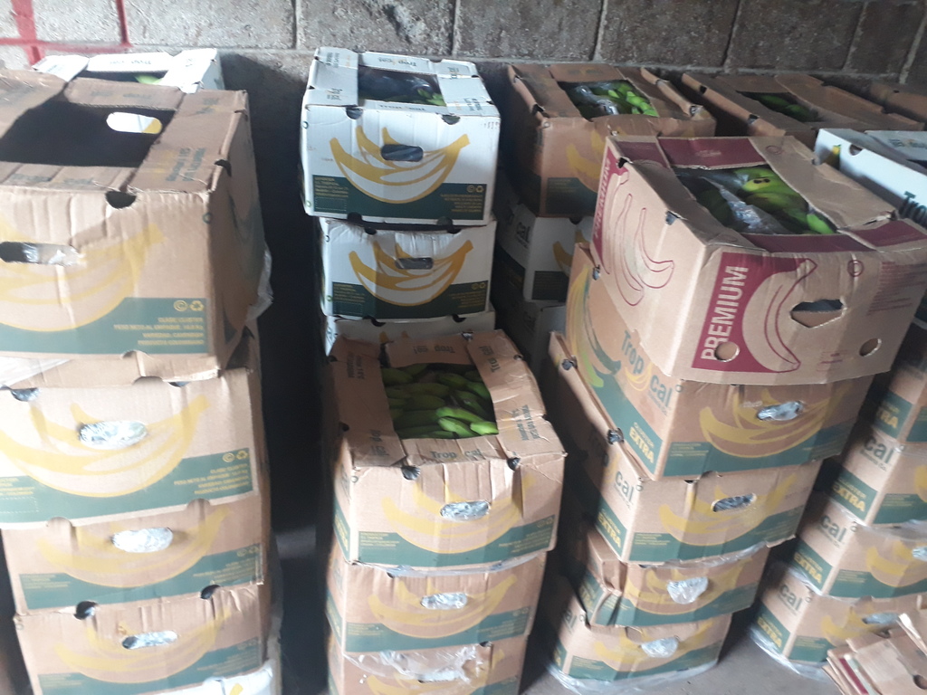 Banano verde