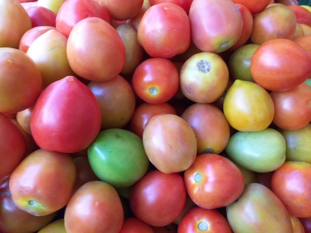 Tomate de aliño