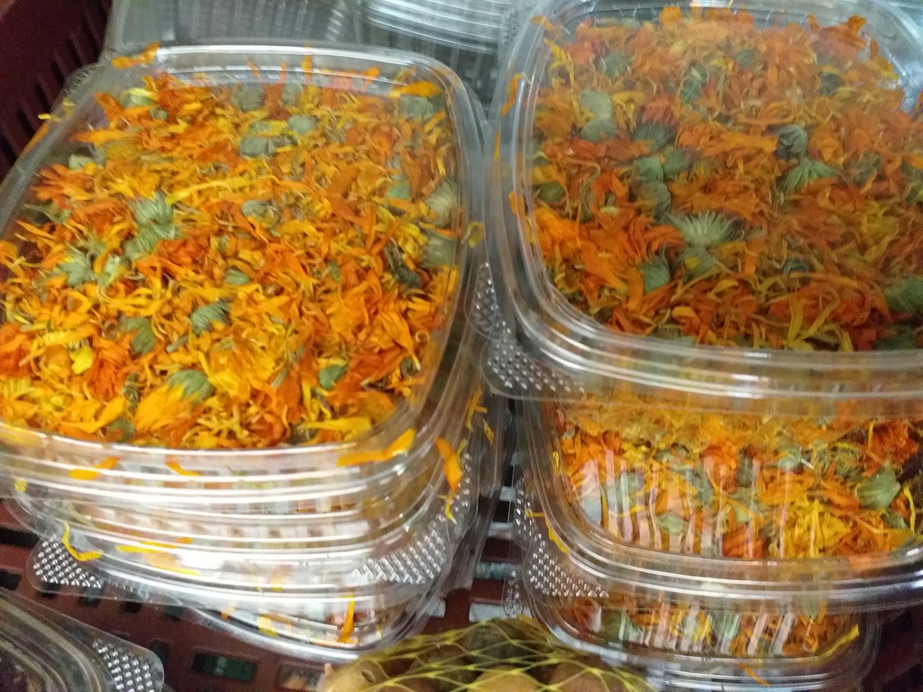 Calendula
