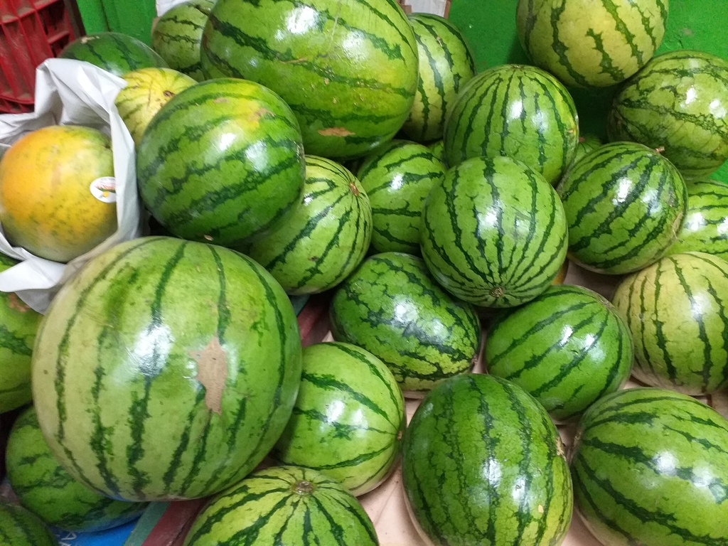 Sandia baby