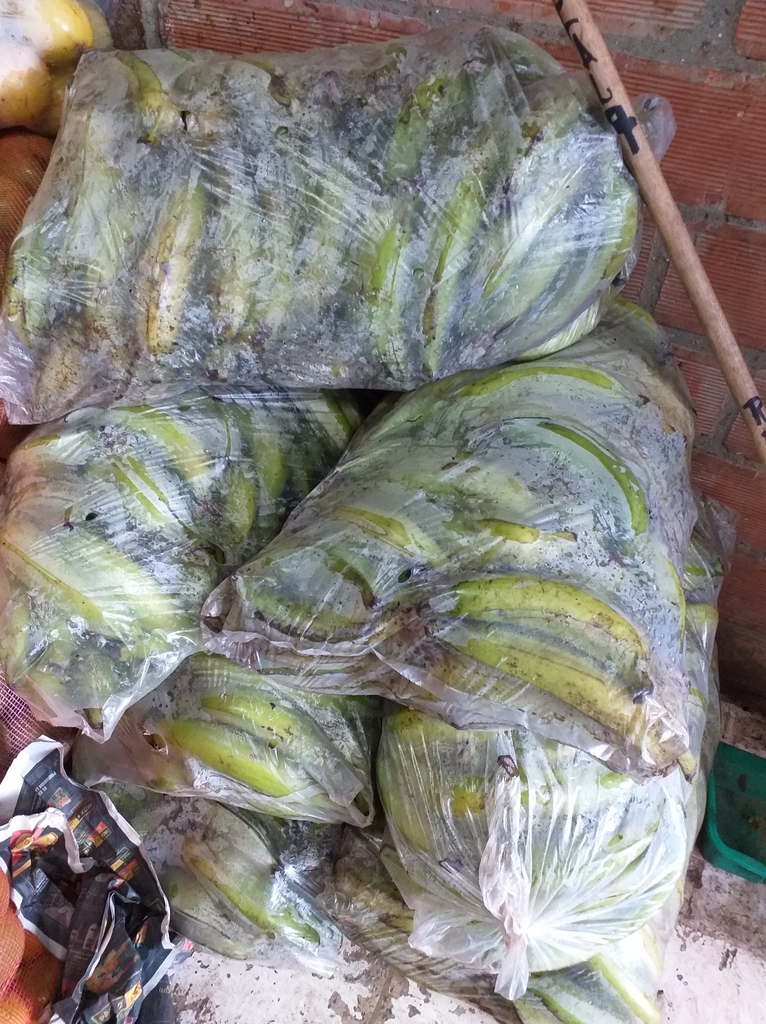Platano verde