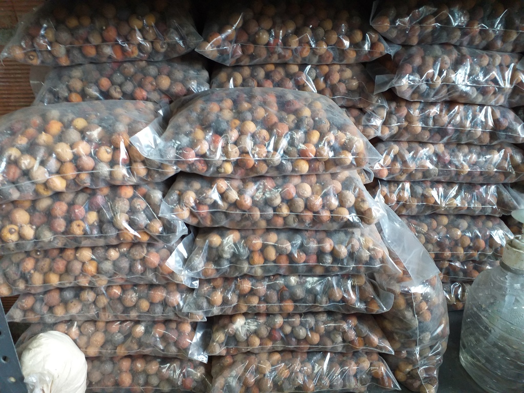Corozo