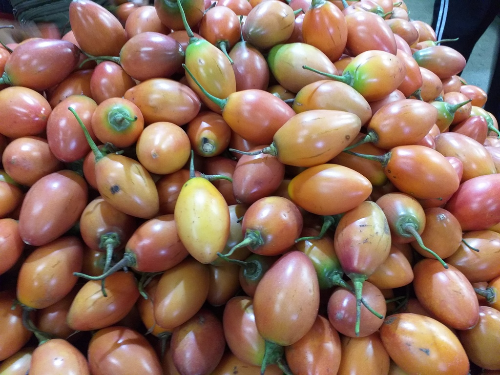 Tomate de arbol de 1ra