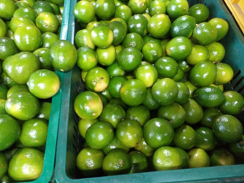 Limon tahiti