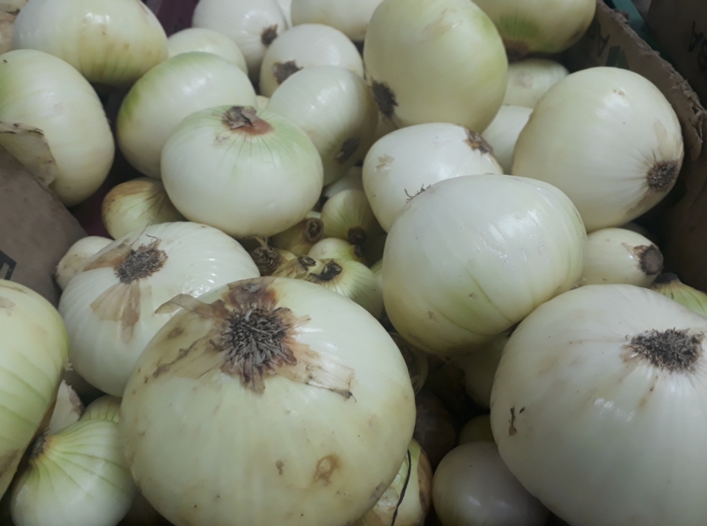 Cebolla Blanca