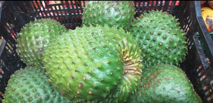 Guanabana