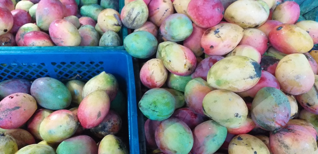 Mango farchi