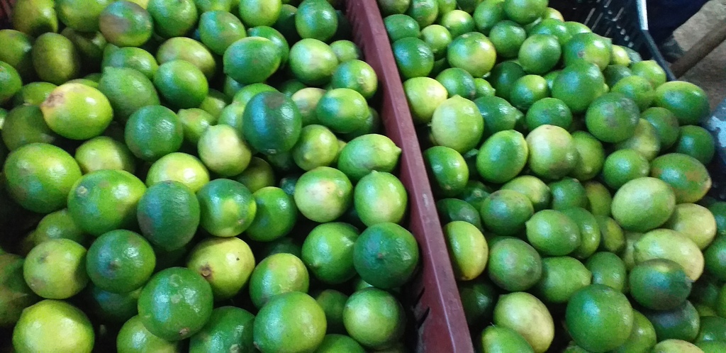 Limon mandarino