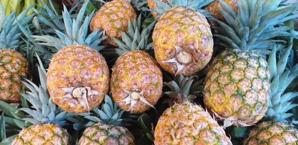 Piña oromiel