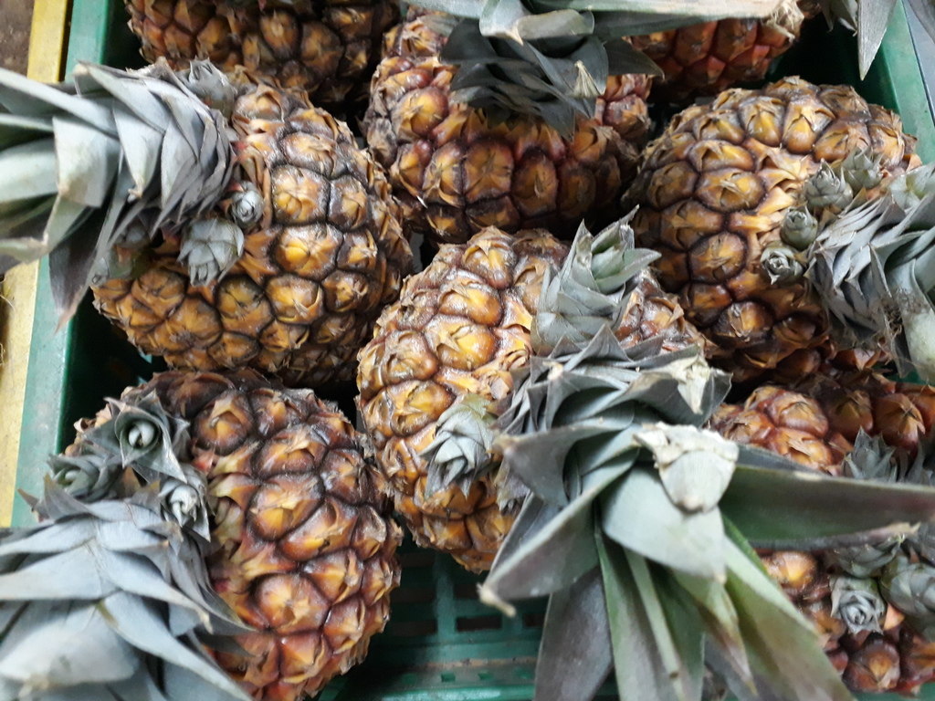 Piña pareja