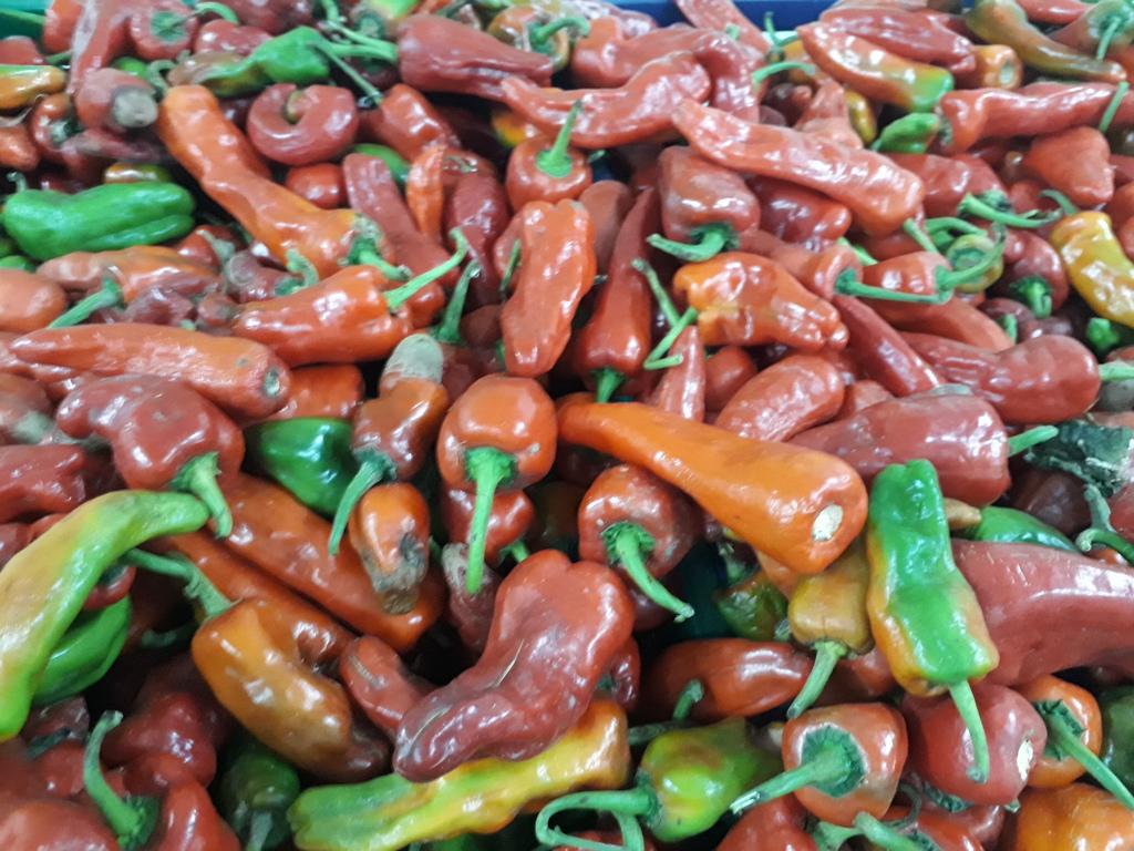 Aji