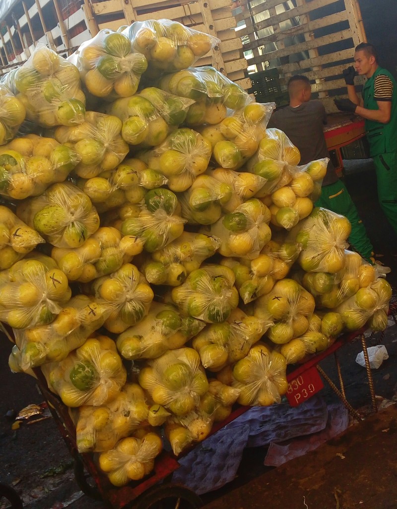 Maracuyá