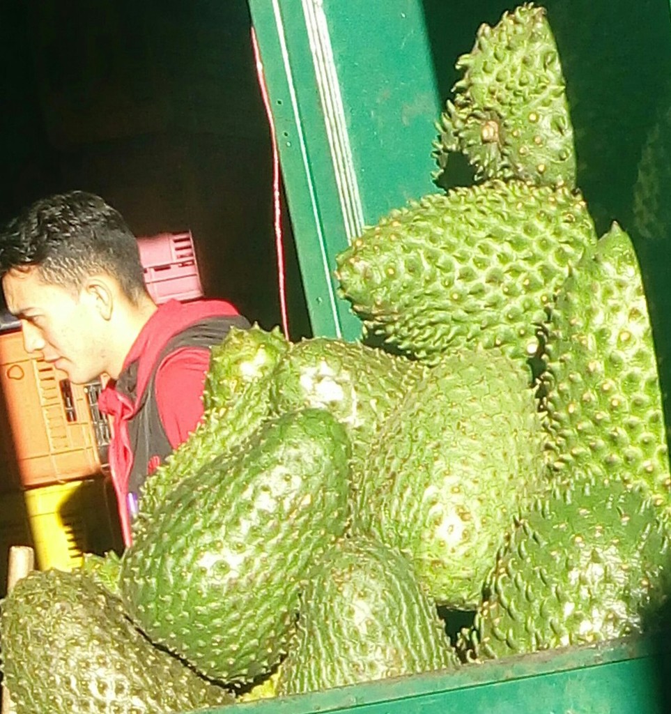 Guanabana