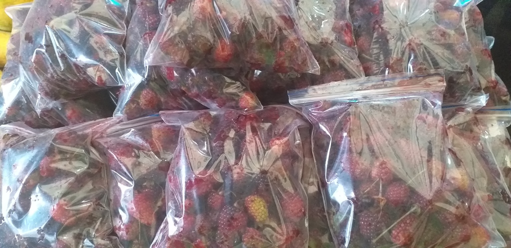 Mora de guarne