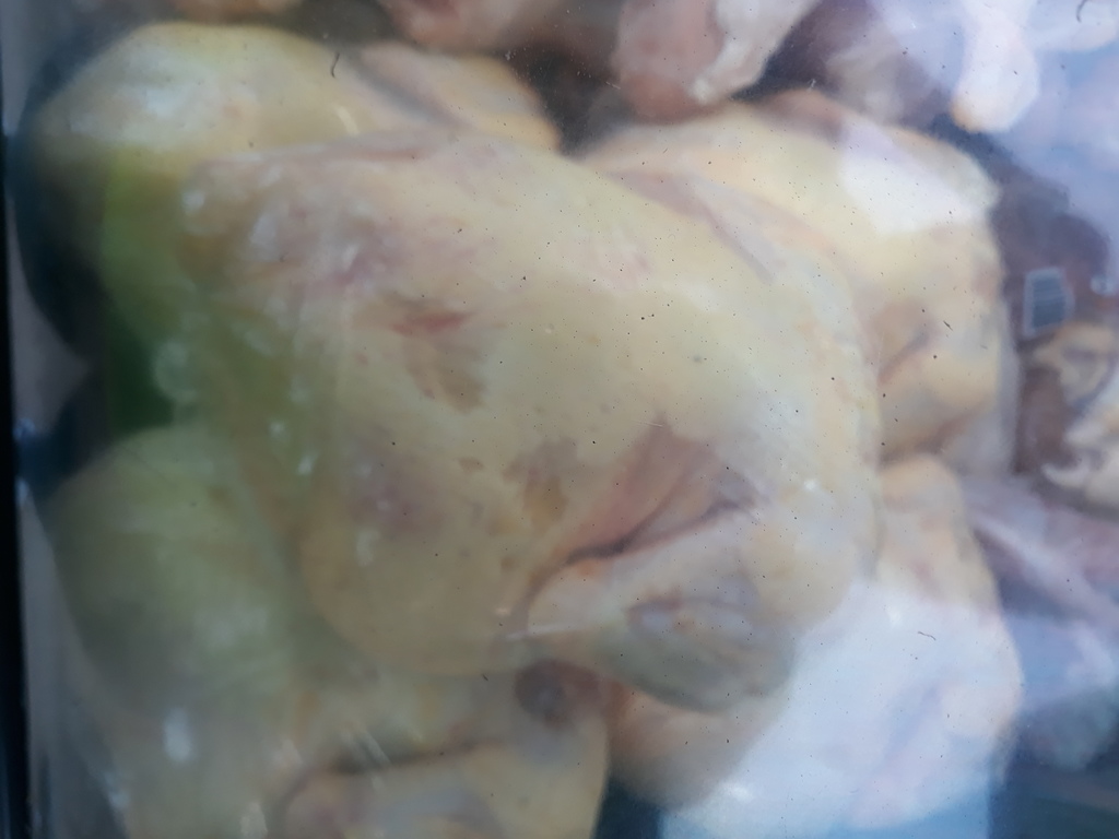 Pollo semi criollo