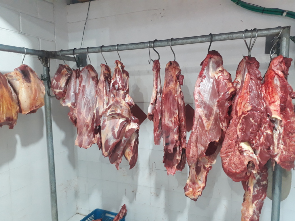 Carne de 1ra de res