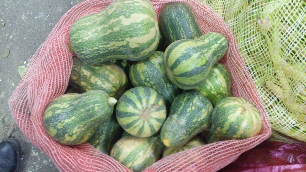 Ahuyama sapayo