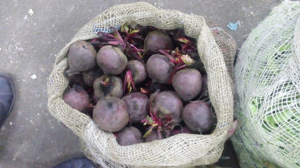Remolacha