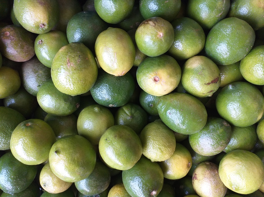 Limon tahiti