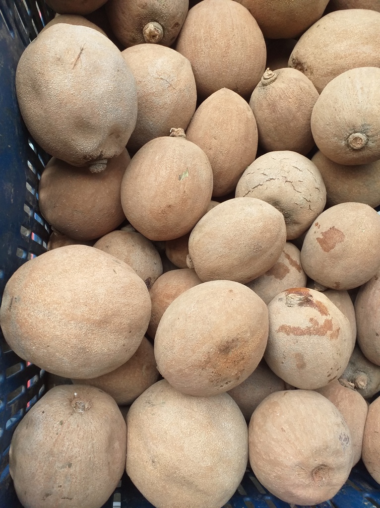 Zapote de carne