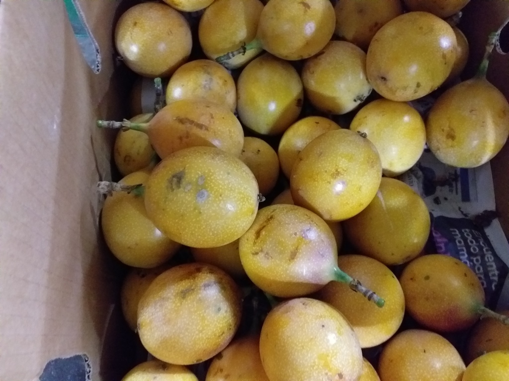 Granadilla