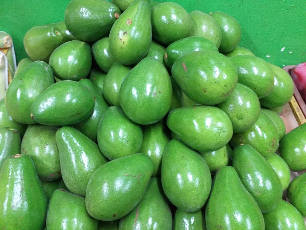 Aguacate papelillo