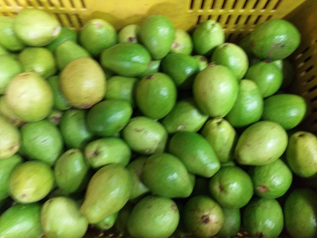 Guayaba gruesa