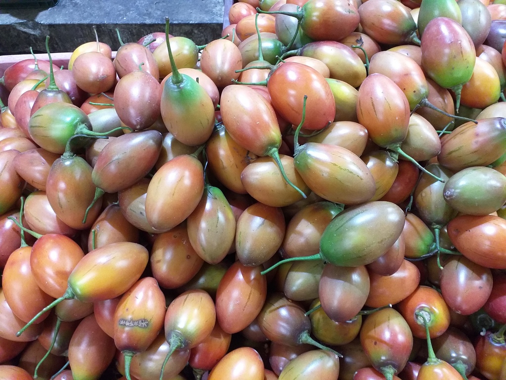 Tomate de arbol
