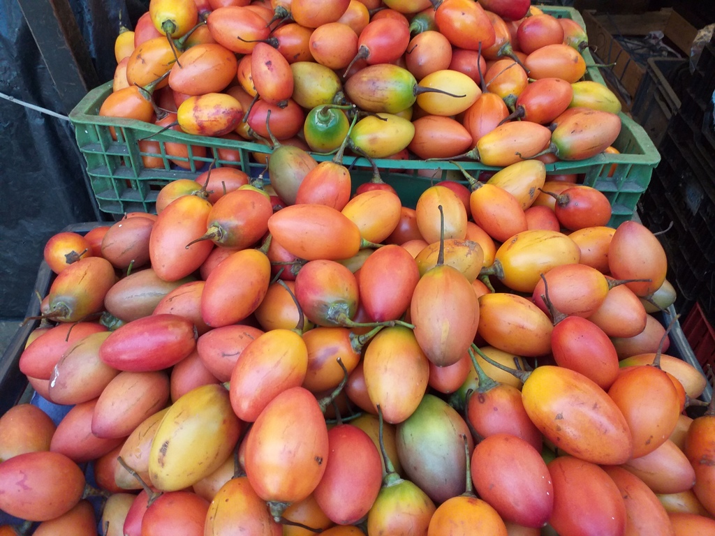 Tomate de arbol delgado