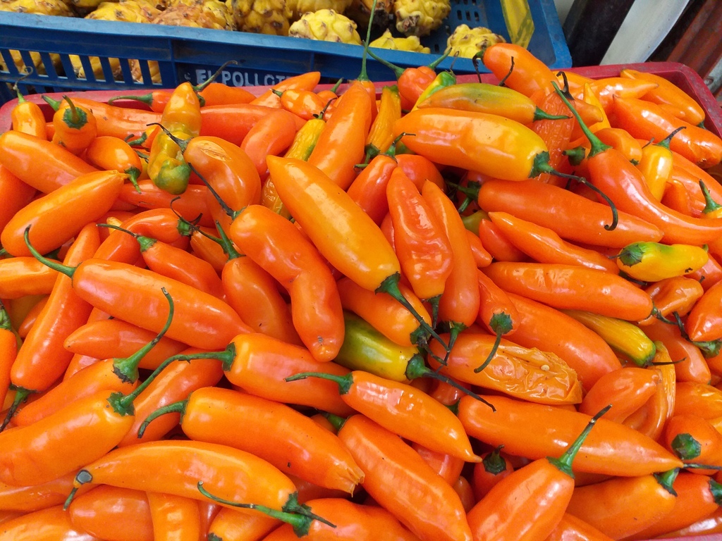 Aji referencia peruano