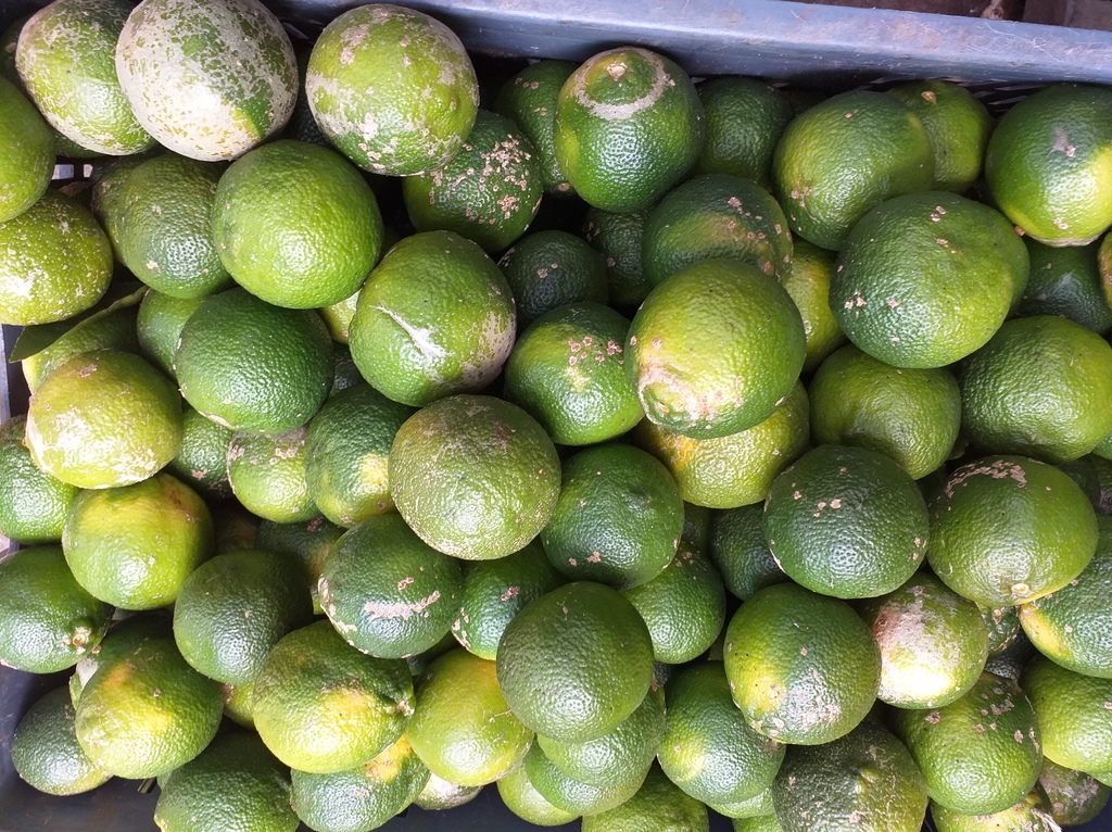 Limon Mandarino
