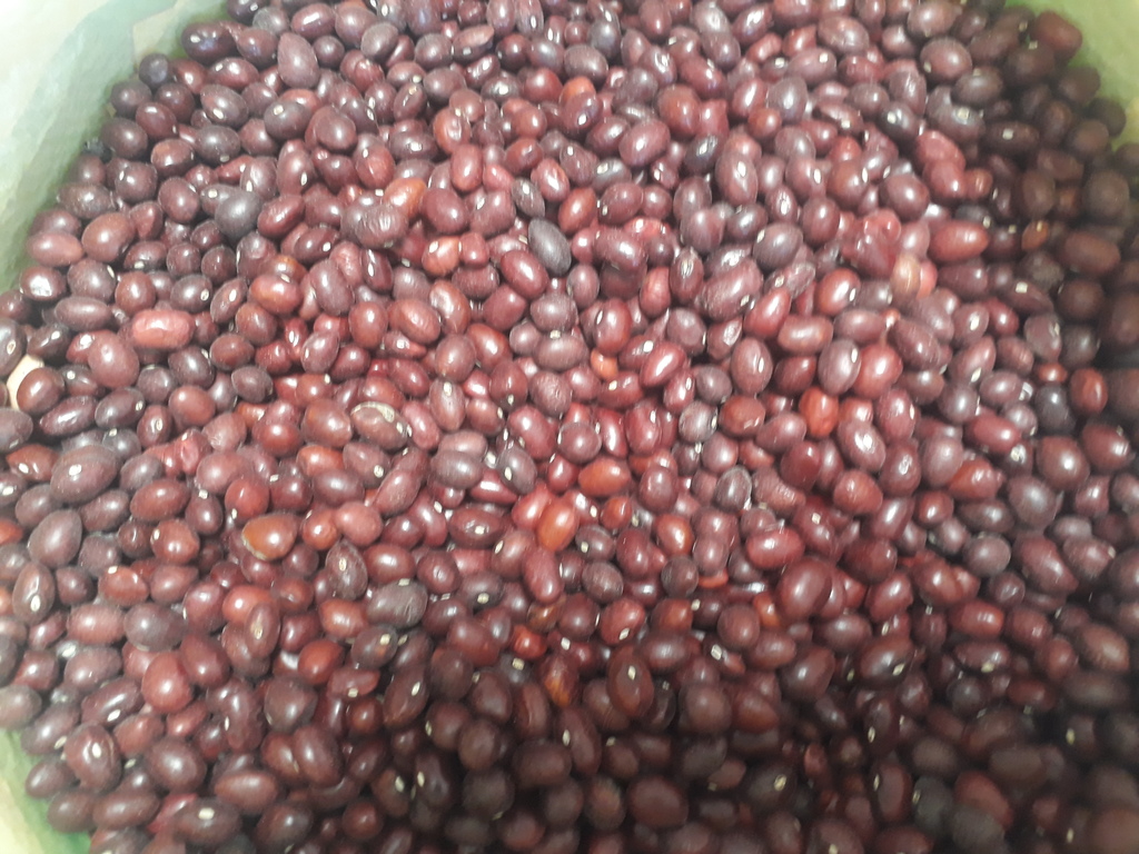 Bola roja
