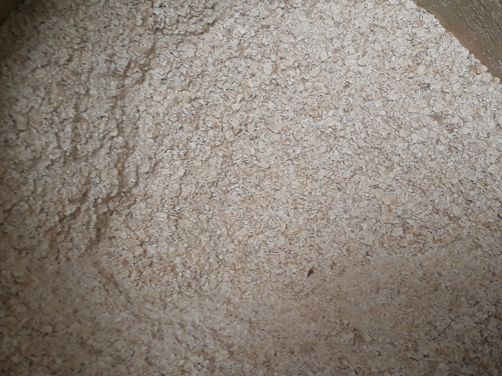 Avena en hojuelas