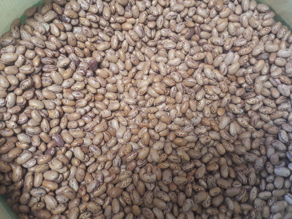 Aceite ideal